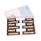 CYU127 Dental Synthetic Resin Teeth