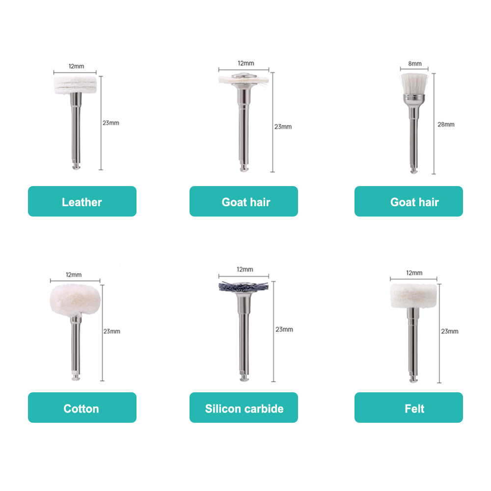 CYF227 Dental Polishing Kit