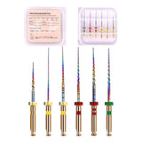 CYF305 Dental Niti Rainbow Files