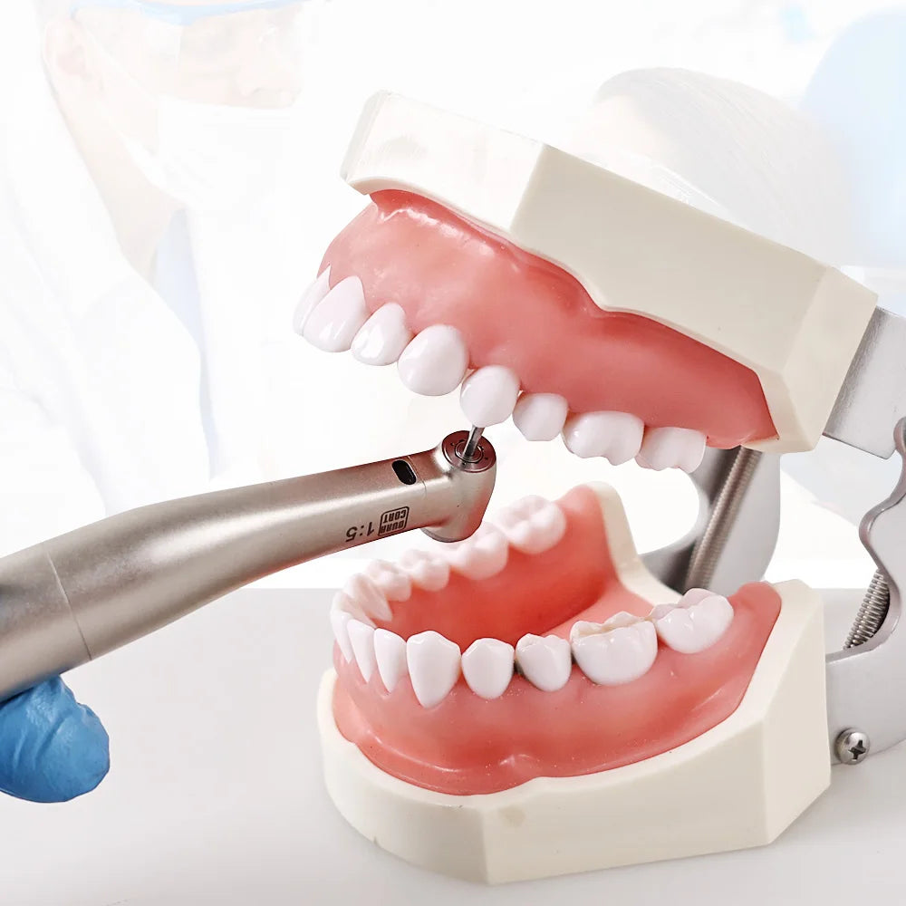 CYC228 Dental LED Contra Angle Handpiece