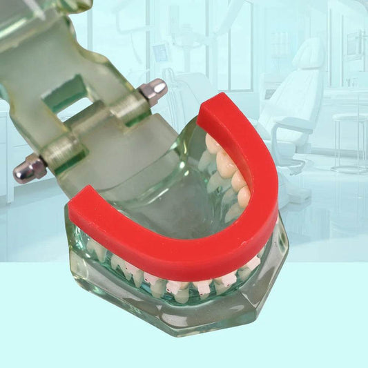 CYW842 Impression Tray (Wax Rim) - Denspay Dental - Impression Trays