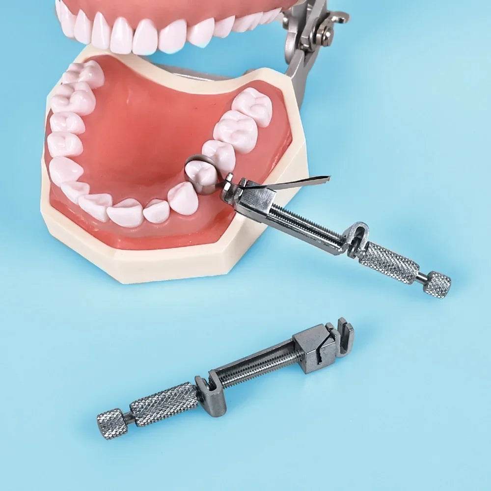 CYW165 Dental Rod Shaped Sheet Clamp - Denspay Dental - Matrix Bands & Clamp