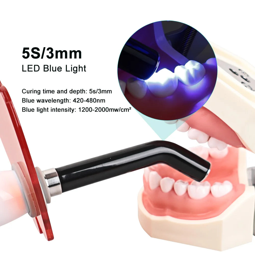 CYH076 Dental Built in Curing Lamp