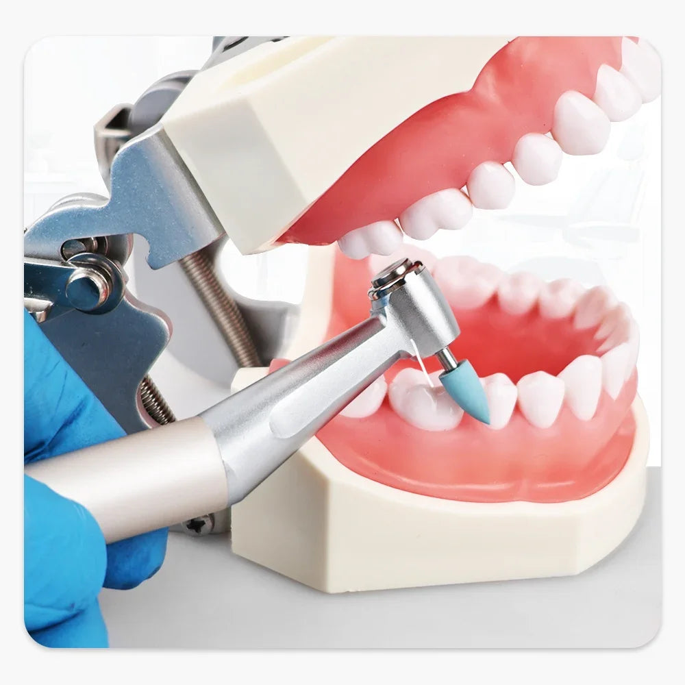 ELIJAH Dental FX Style E-Type 1:1 Contra Angle Handpiece Slow Speed
