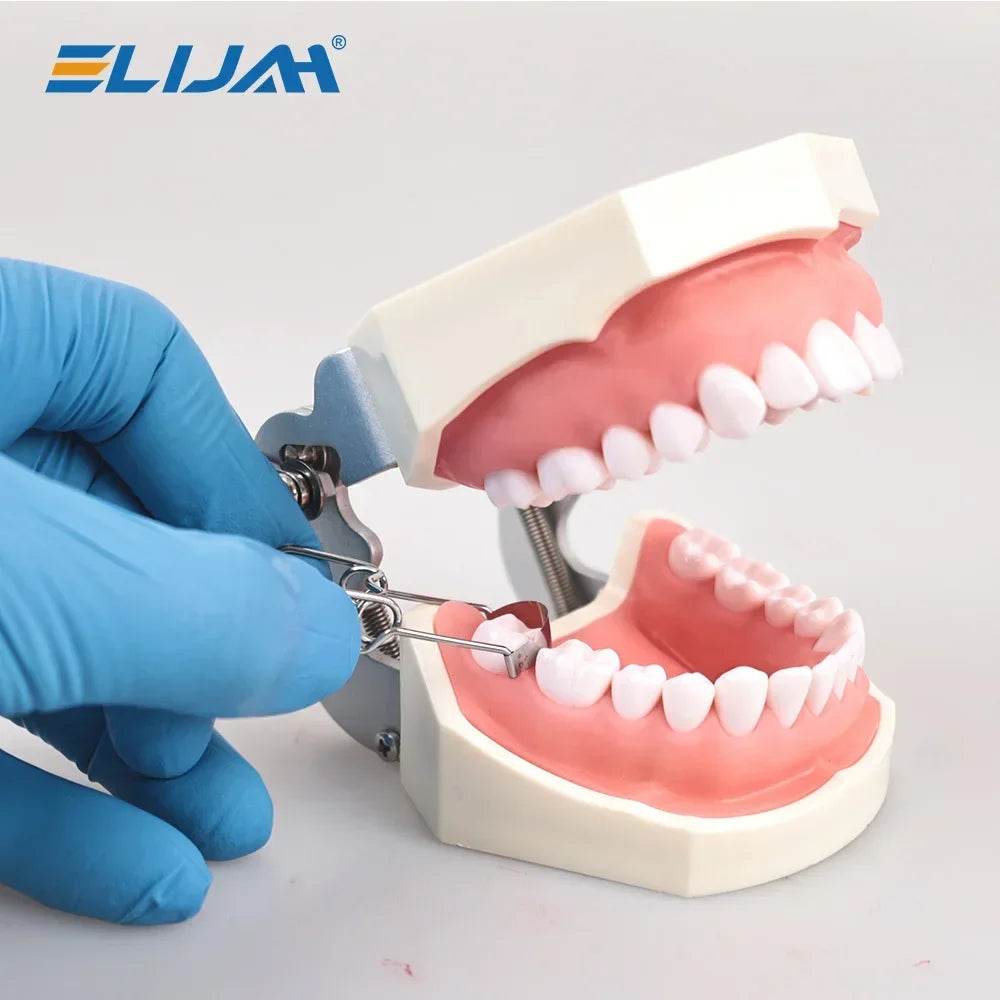 CYW729 Dental Matrix - Denspay Dental - Matrix Bands & Clamp