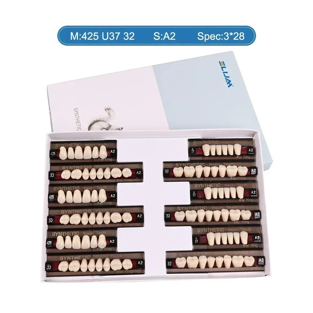 CYU127 Dental Synthetic Resin Teeth