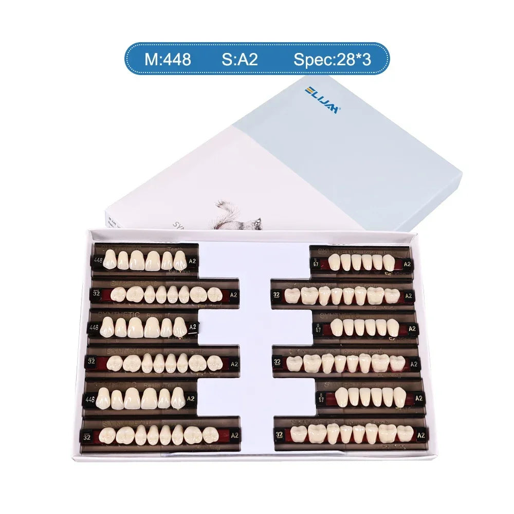 CYU127 Dental Synthetic Resin Teeth