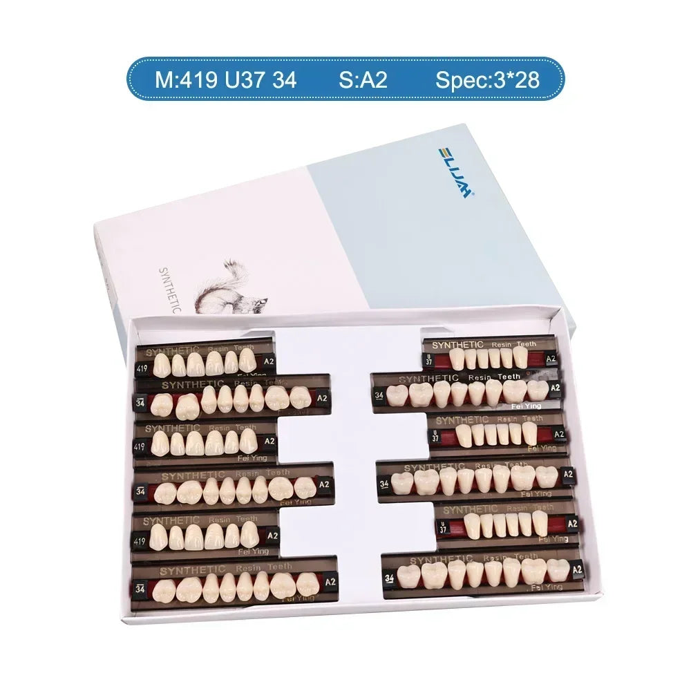CYU127 Dental Synthetic Resin Teeth