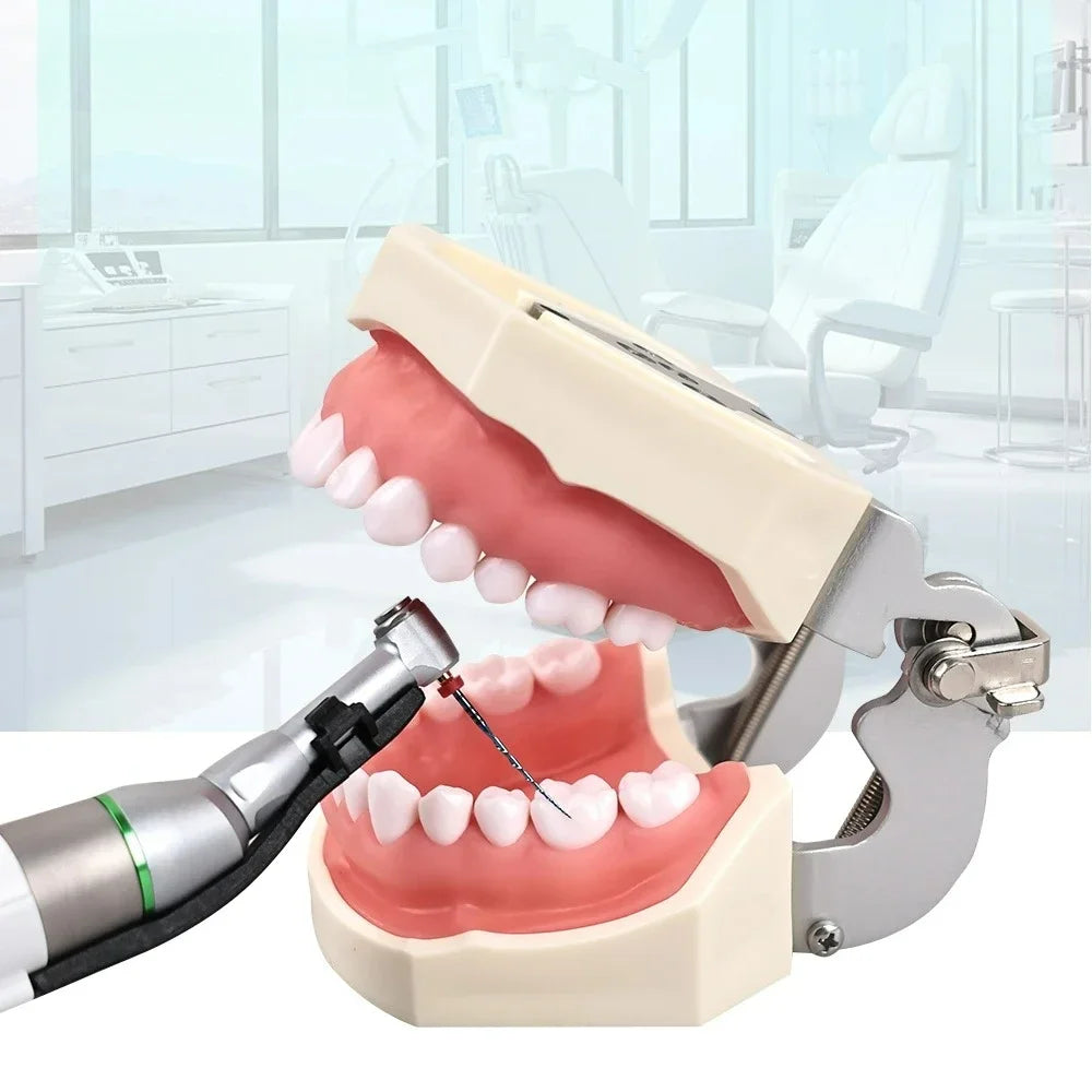 CYF210 Reciprocal Blue Heat Activation Endodontic File