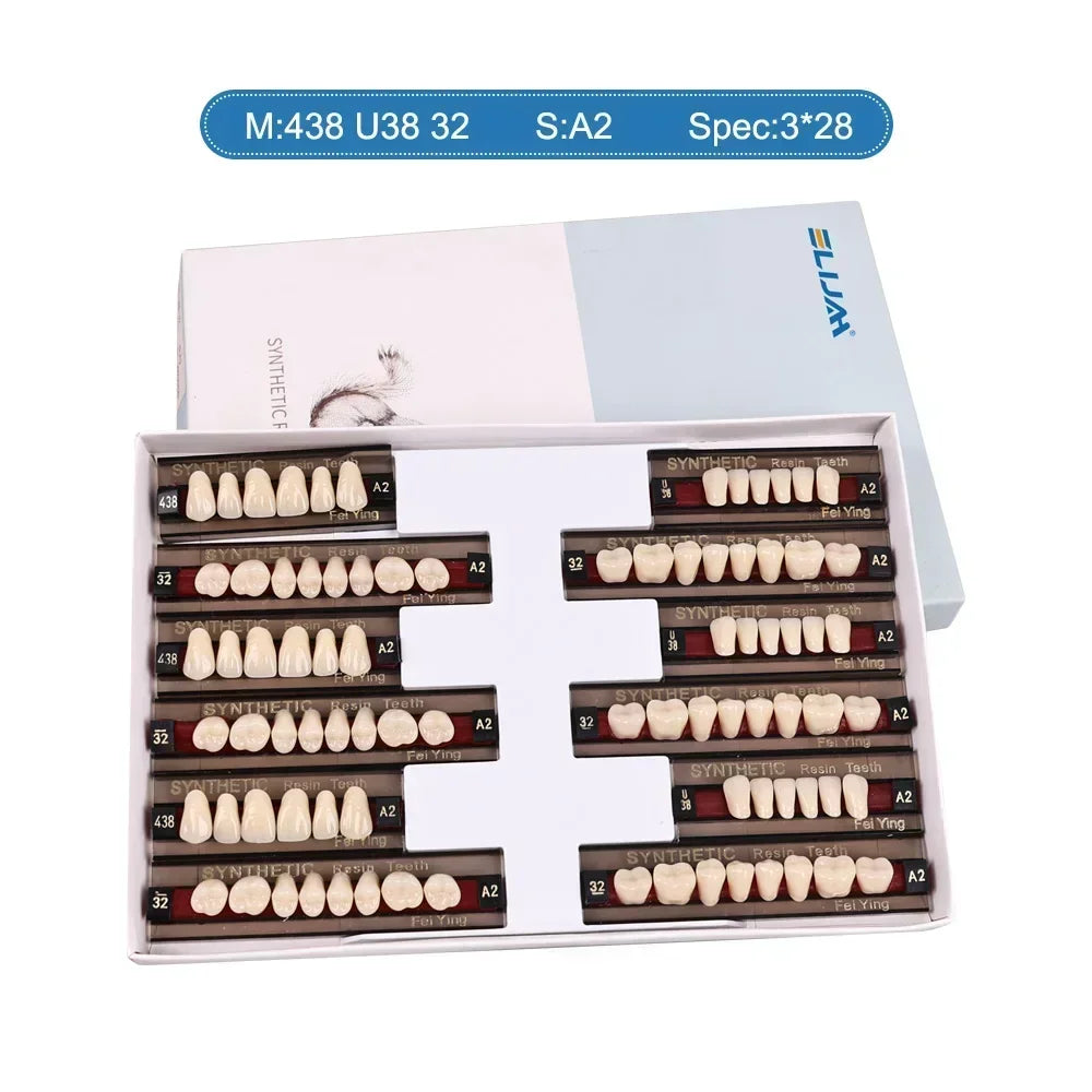 CYU127 Dental Synthetic Resin Teeth