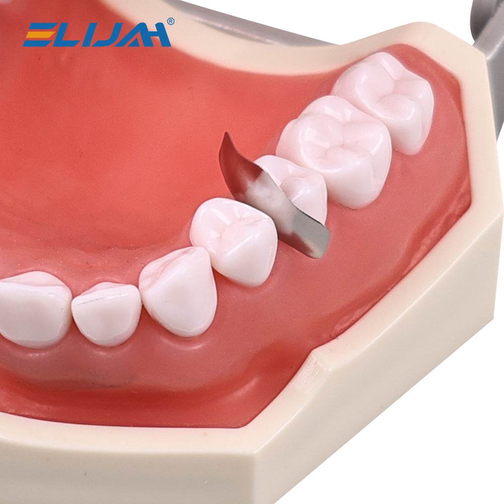 CYZ034 M2 Dental Matrix Bands - Denspay Dental - Matrix Bands & Clamp