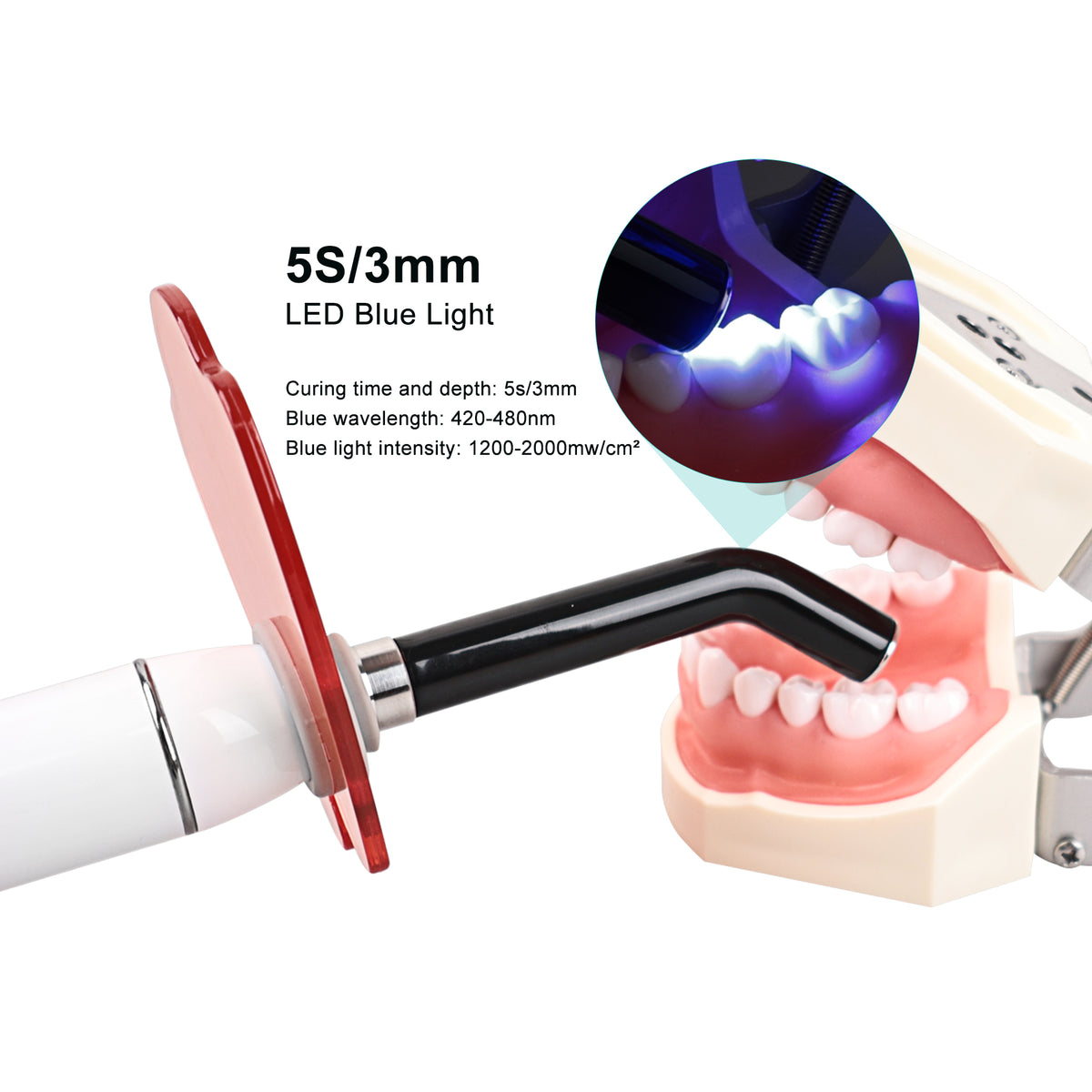 Professional dental clinical operation scene of 5s curing light for composite filling and orthodontic bonding