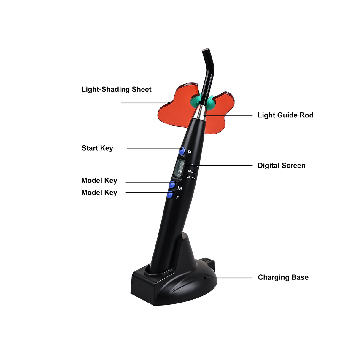 Control button panel detail of multi‑mode 5s dental LED curing lamp