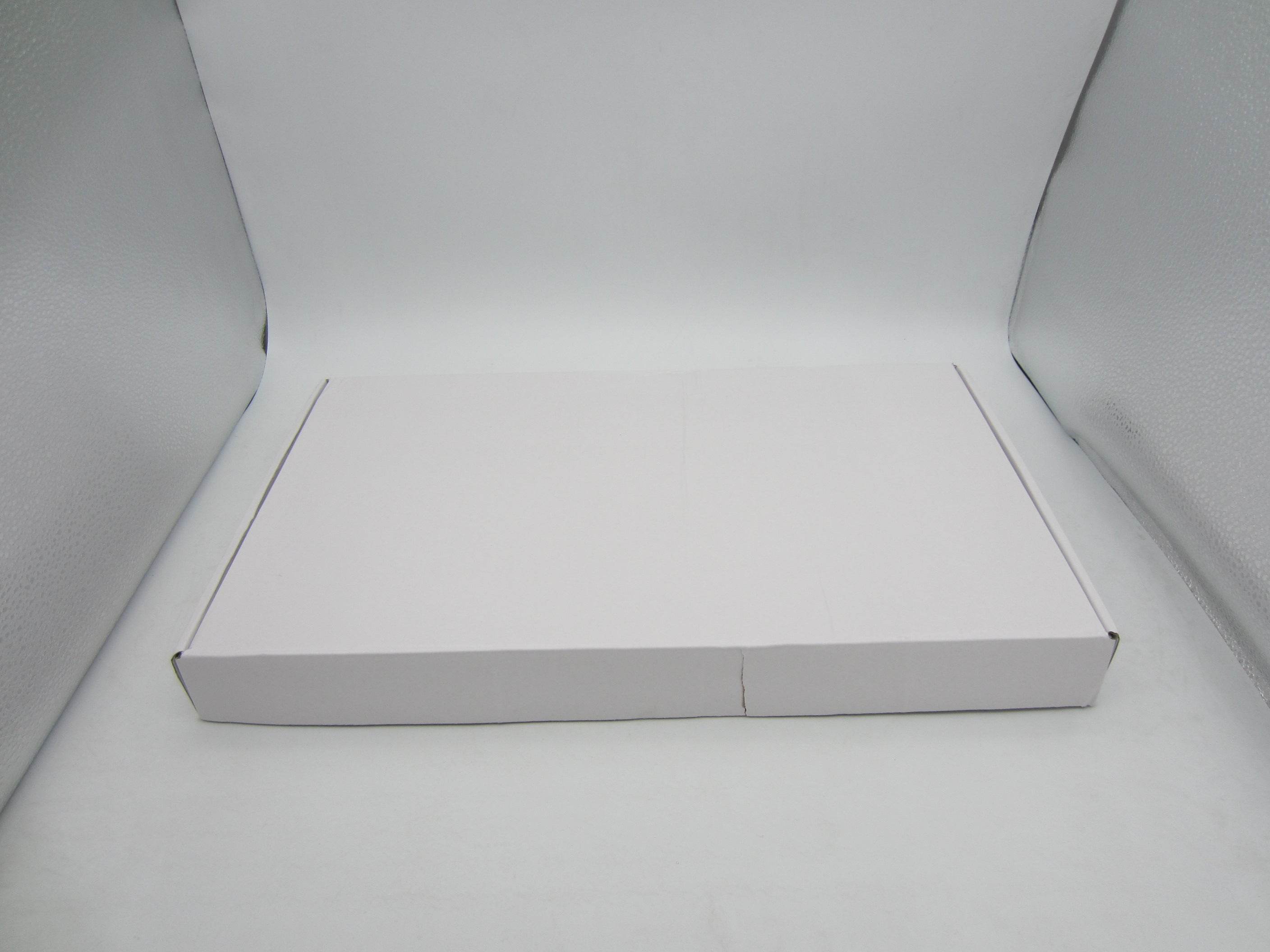 CYG052 Dental X-ray Film Viewer - Denspay Dental - X-ray Film Viewer