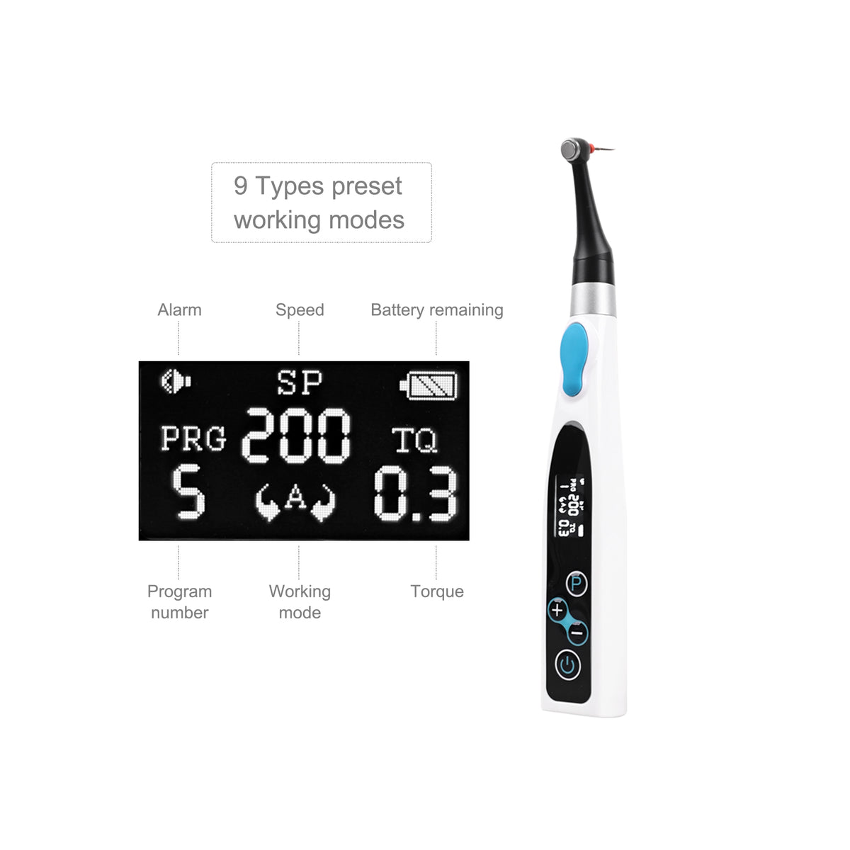 9‑program endo motor LCD screen close‑up showing program, speed and torque data
