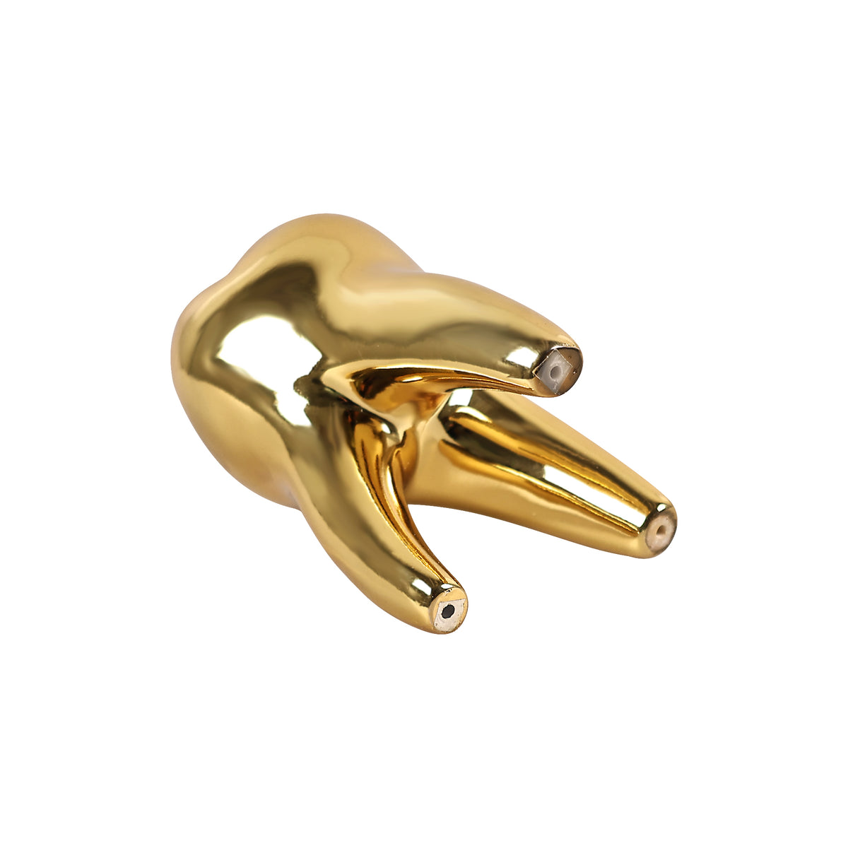 Bottom view of gold resin tooth ornament