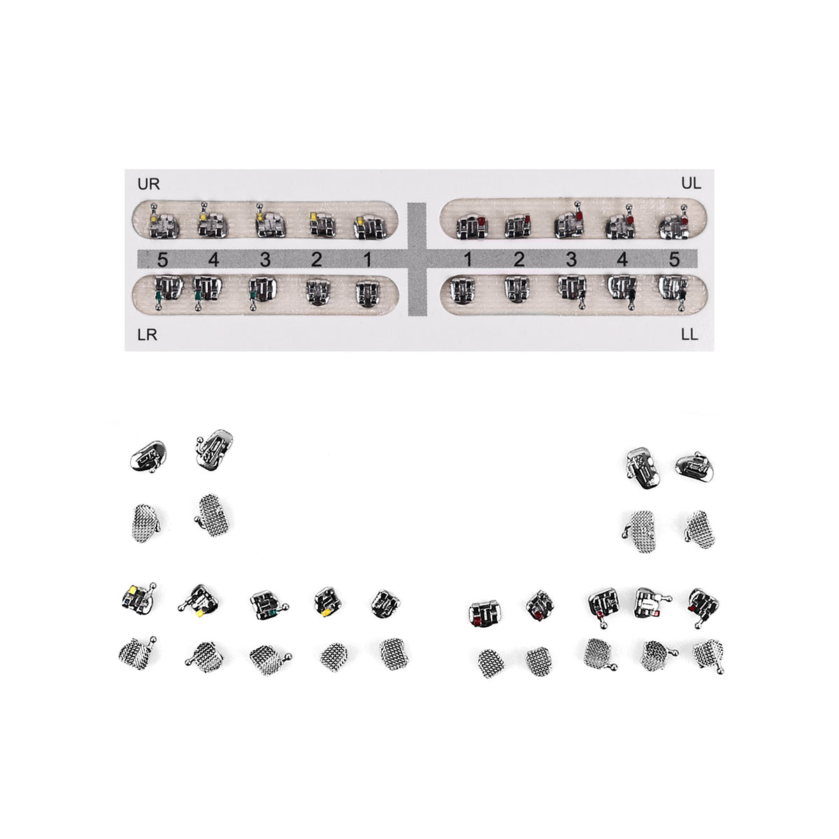 Mesh bonding base detail of orthodontic bracket