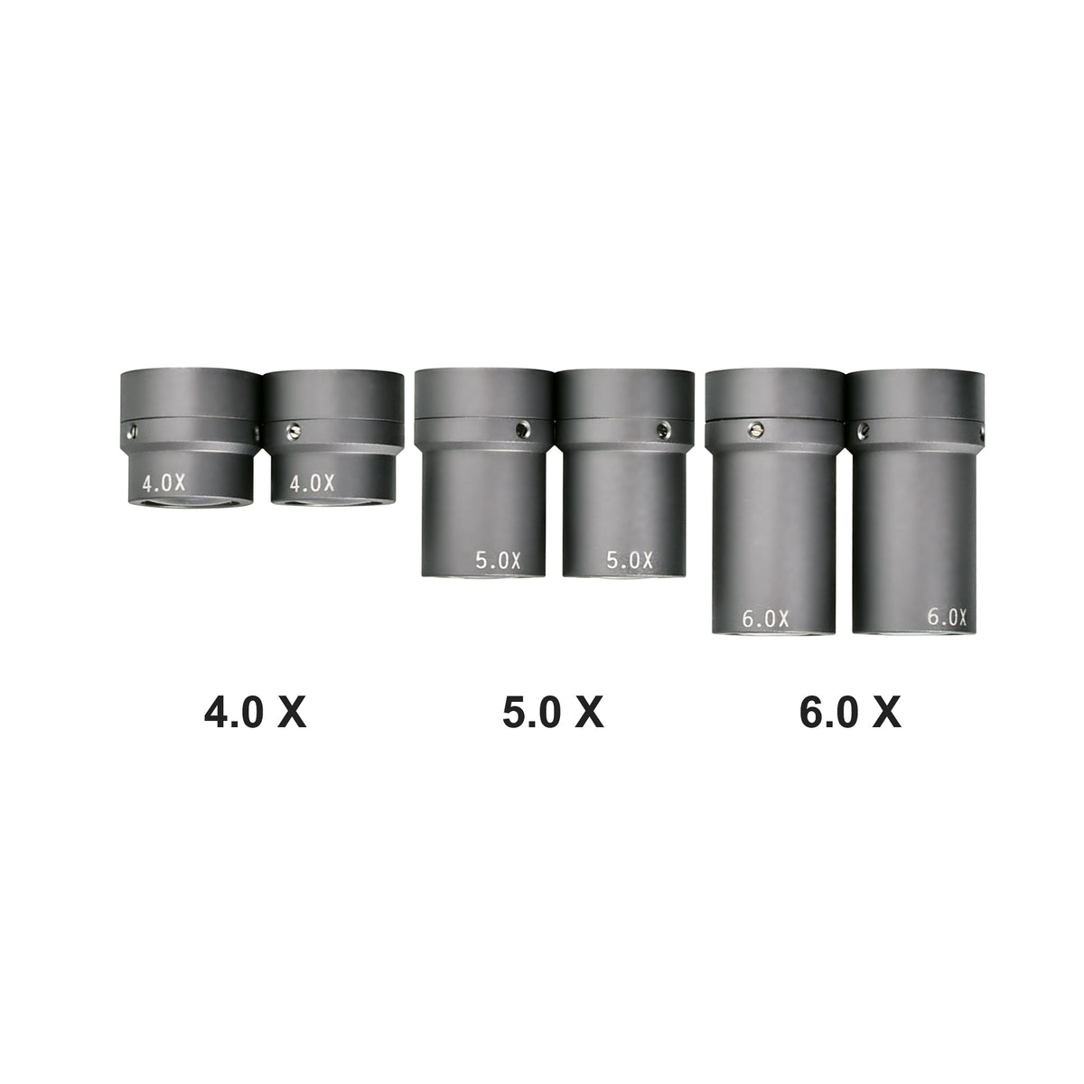 Prismatic dental loupes matched with dental LED headlight