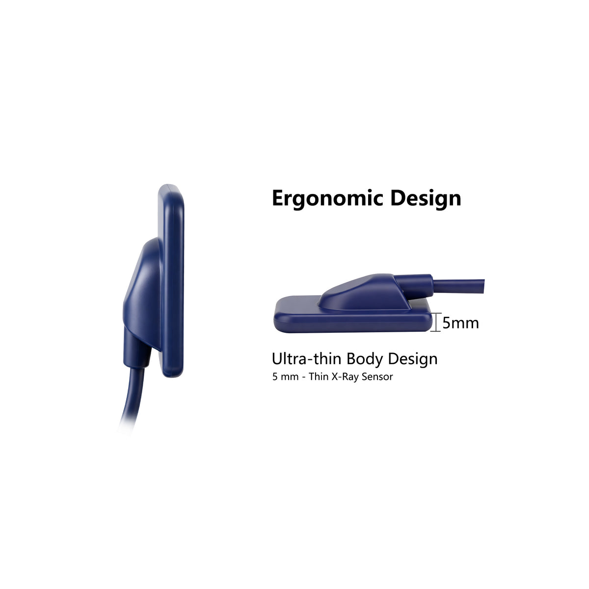 Different size options of dental intraoral xray RVG sensor