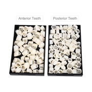 Dental temporary crown kit, anterior and posterior resin crown set