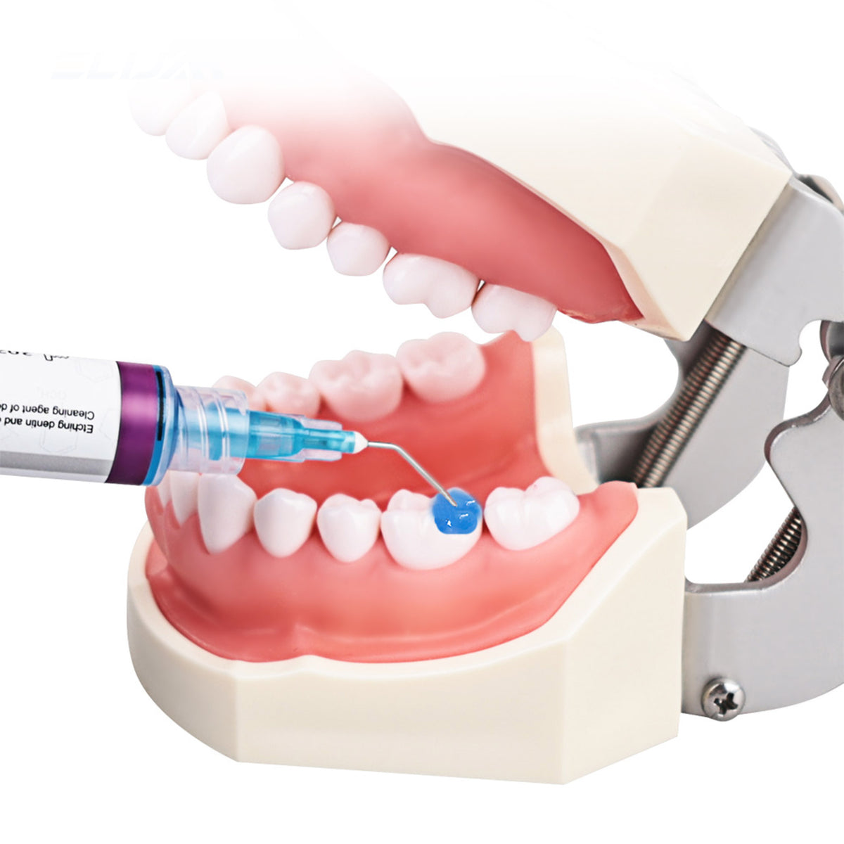 Dentist sculpting composite resin with instrument