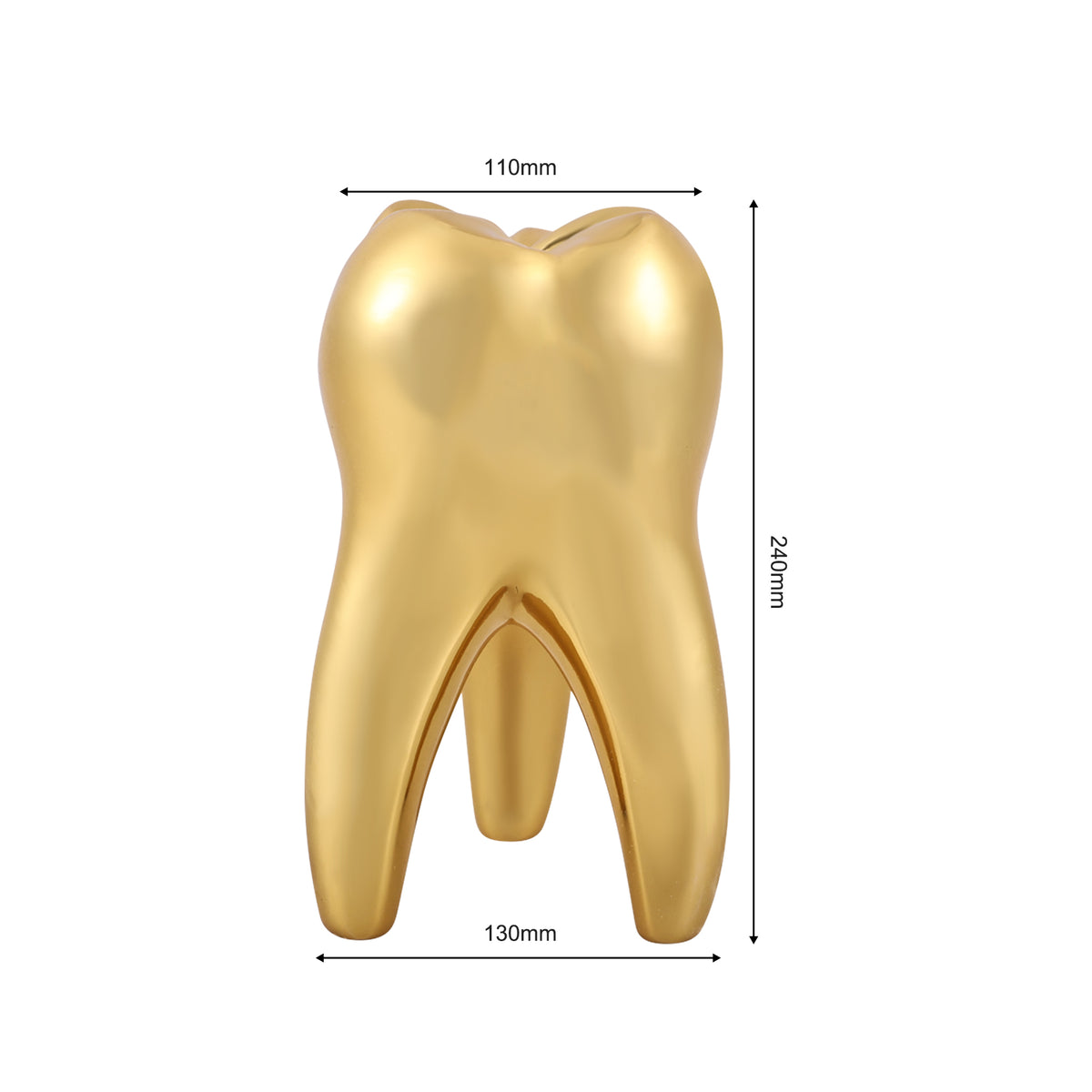 Gold Tooth Model dimension drawing, front view with size marking