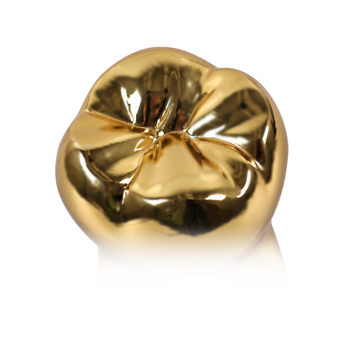 Gold tooth ornament left side view, resin dental decor