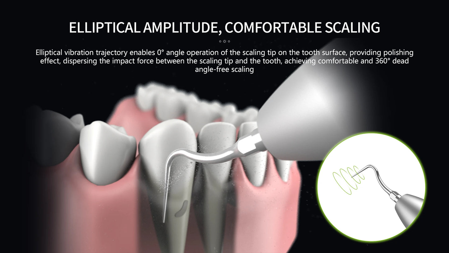 CYB100 2 in 1 Dental Ultrasonic Scaler VRN DQ-80 - Denspay Dental - 2-in-1 Dental Scaler
