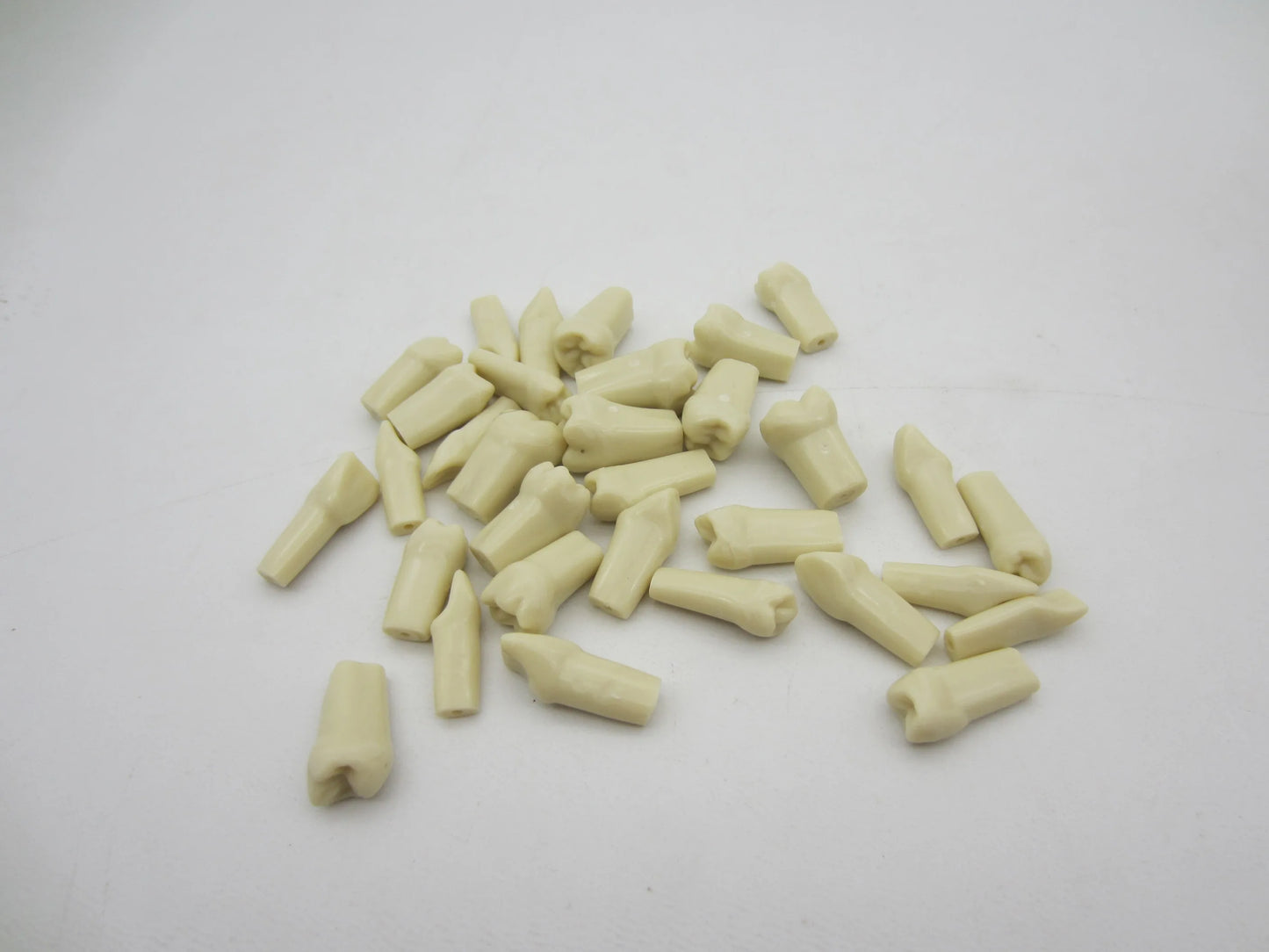 CYW464 Tooth Model