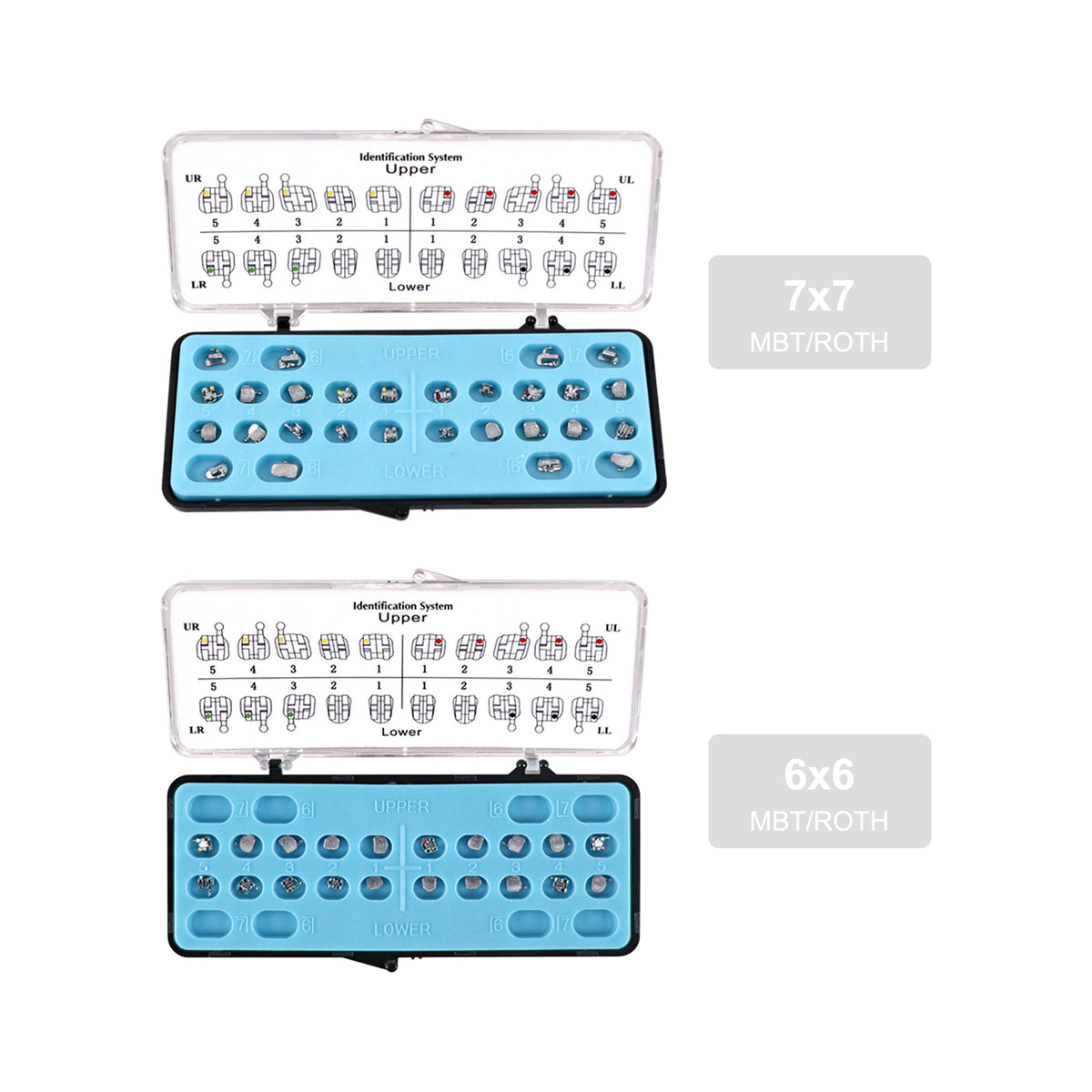 Open MBT orthodontic bracket box with bracket layout