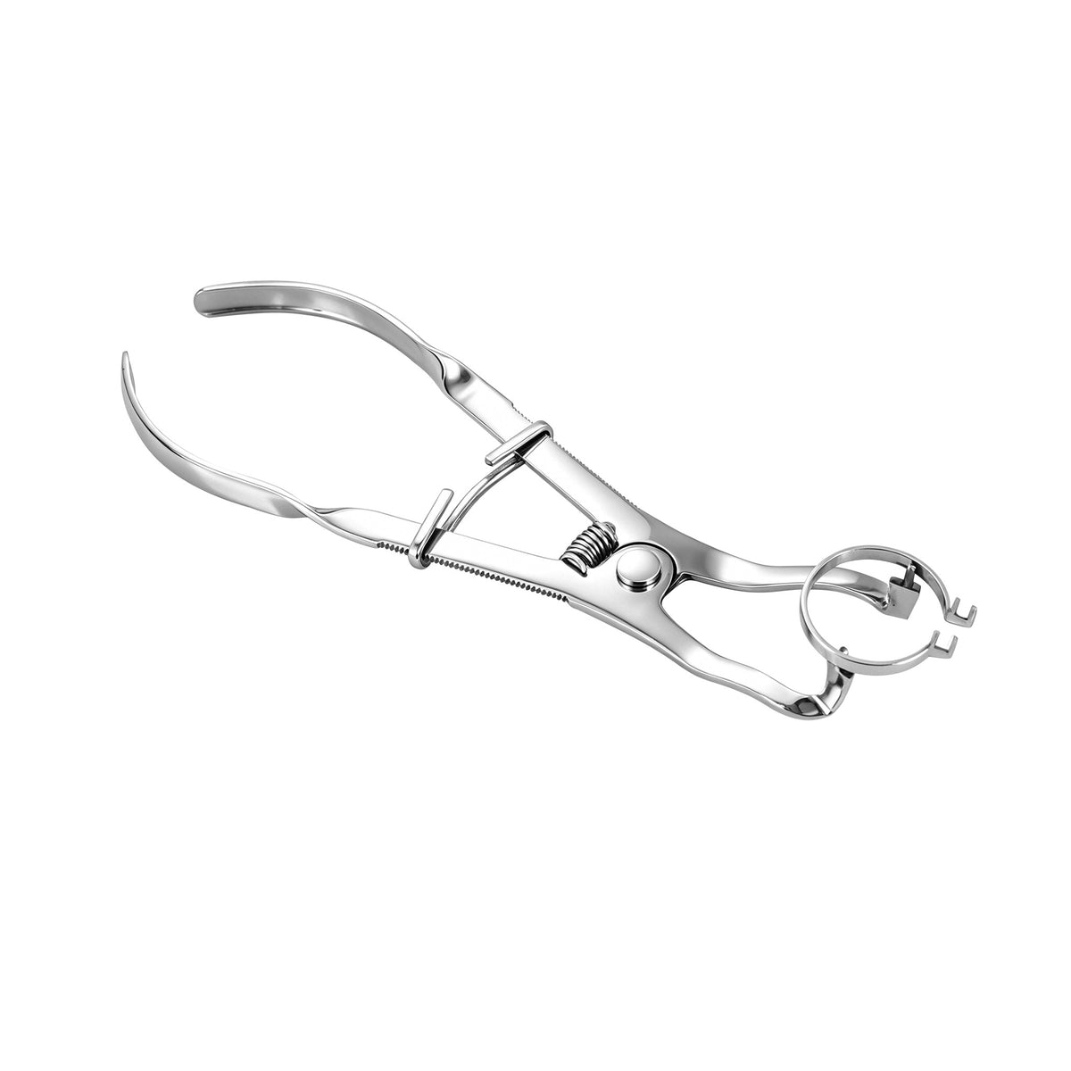Precision tip of matrix band forceps closeup