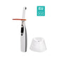 CYH067 Dental Curing Light
