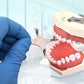 CYZ019 Dental Orthodontics Pliers Set