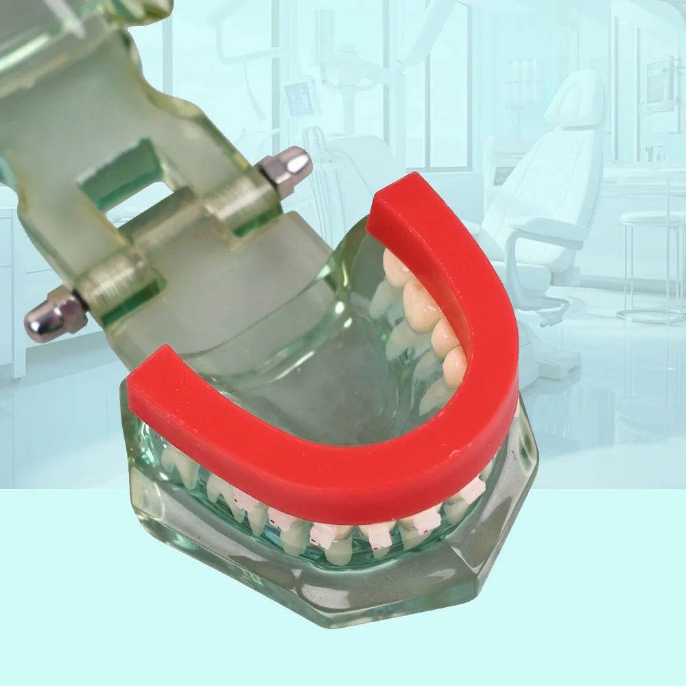 CYW842 Impression Tray (Wax Rim) - Denspay Dental - Impression Trays