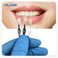 CYD029 Denspay Vita Master Dentistry Colorimetric Plate