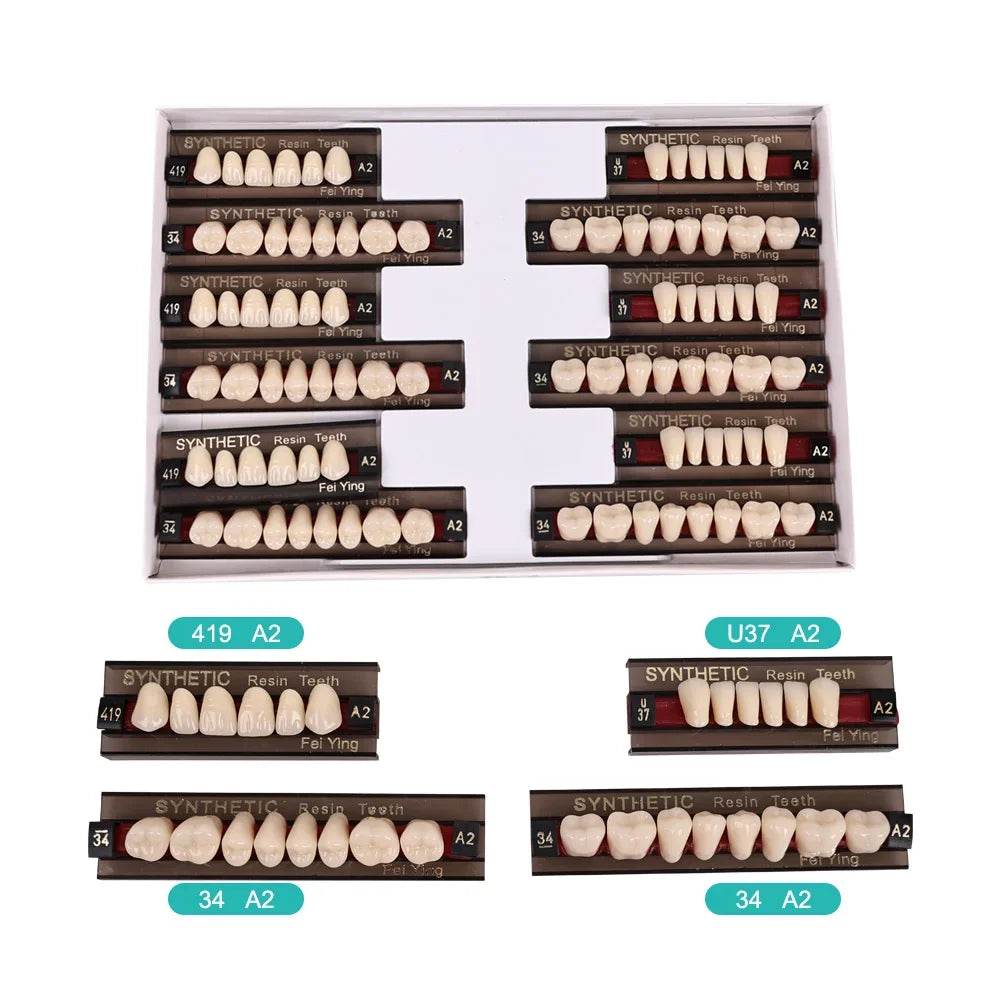 CYU127 Dental Synthetic Resin Teeth - Denspay Dental - Acrylic Teeth