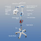CYD060 Dental LED Teeth Whitening Machine