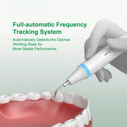 CYB056 Dental Ultrasonic Scaler - Denspay Dental - Ultrasonic Scaler