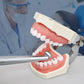 ELIJAH Dental 45° High Speed Handpiece