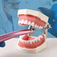 CYC205 Dental High Speed Handpiece