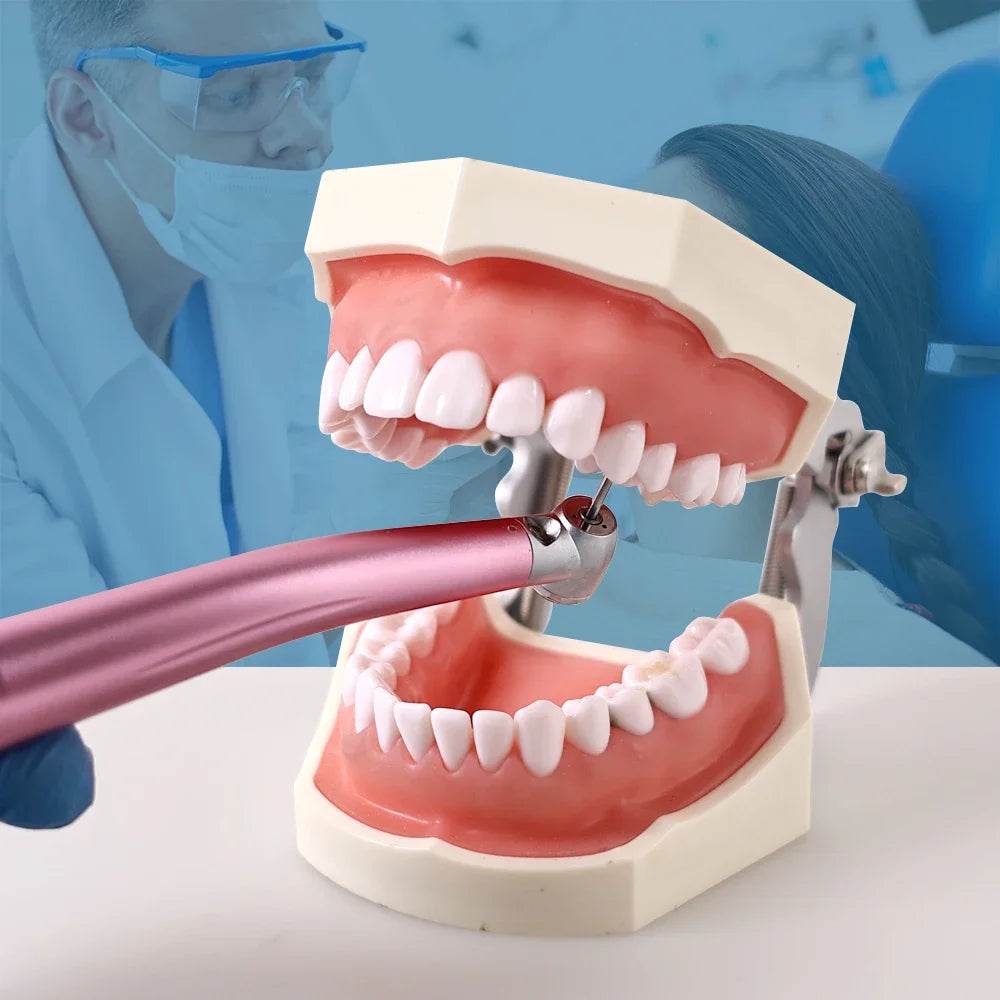 CYC205 Dental High Speed Handpiece - Denspay Dental - High-Speed Handpiece