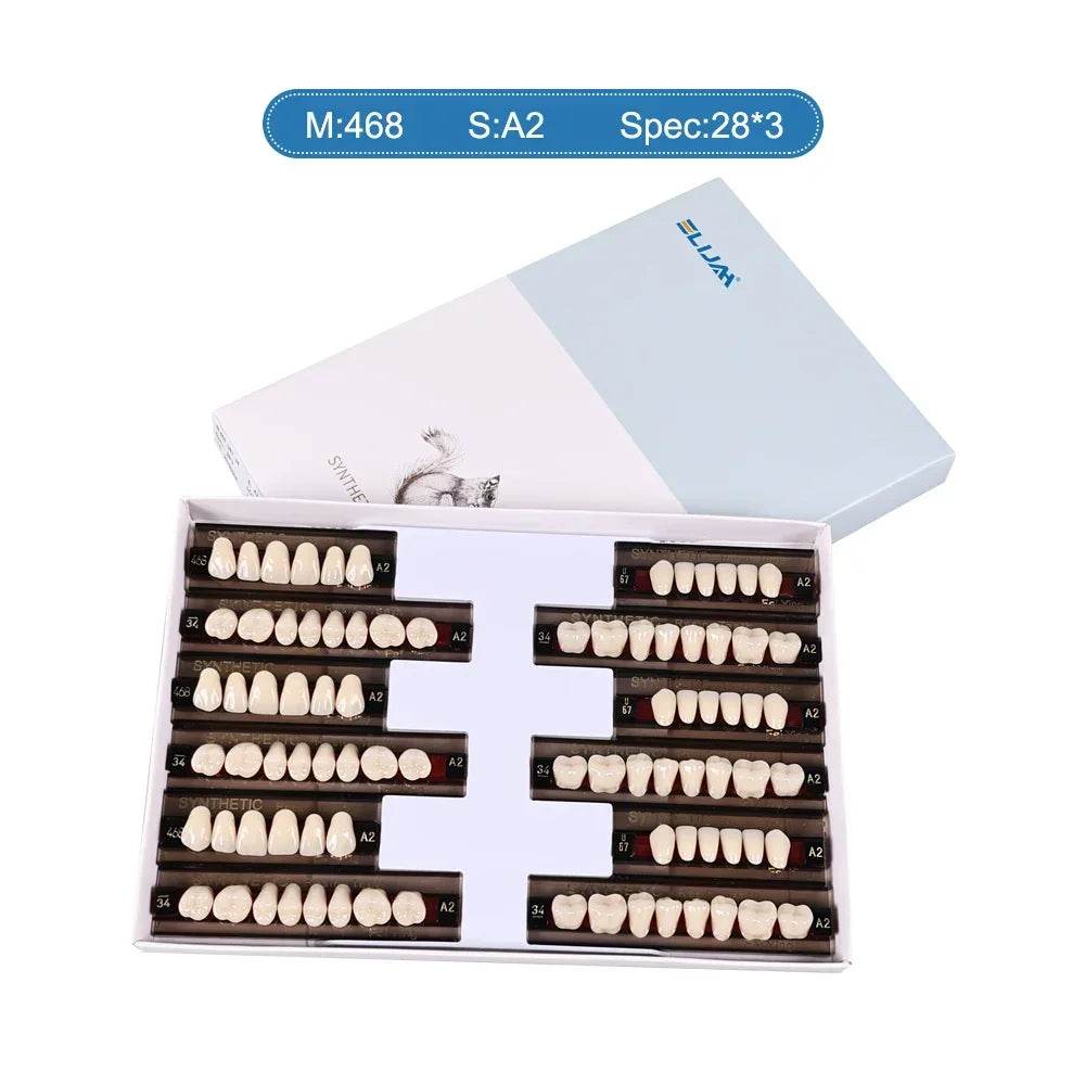 CYU127 Dental Synthetic Resin Teeth - Denspay Dental - Acrylic Teeth