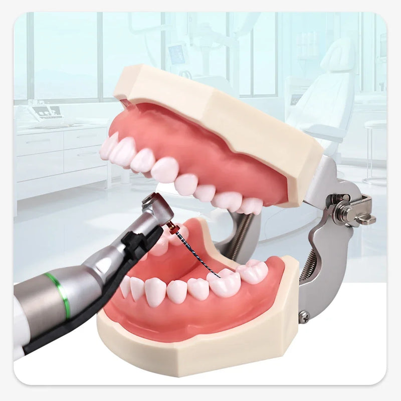 Cordless Dental Endo Motor 16:1 Dental Reduction Equipment Endo Motor With LED Light Imported Motor Root Canal Instrument Tool