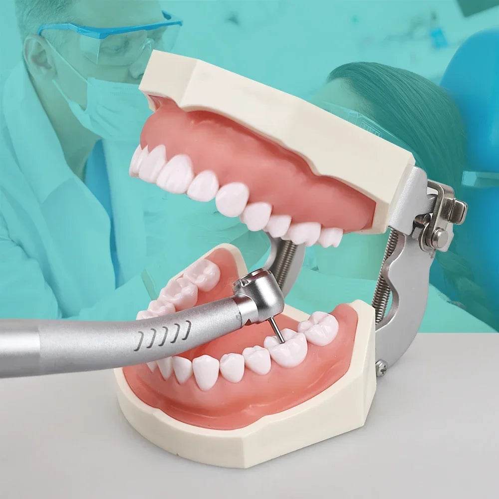 CYC210 Dental High Speed Handpiece - Denspay Dental - High-Speed Handpiece