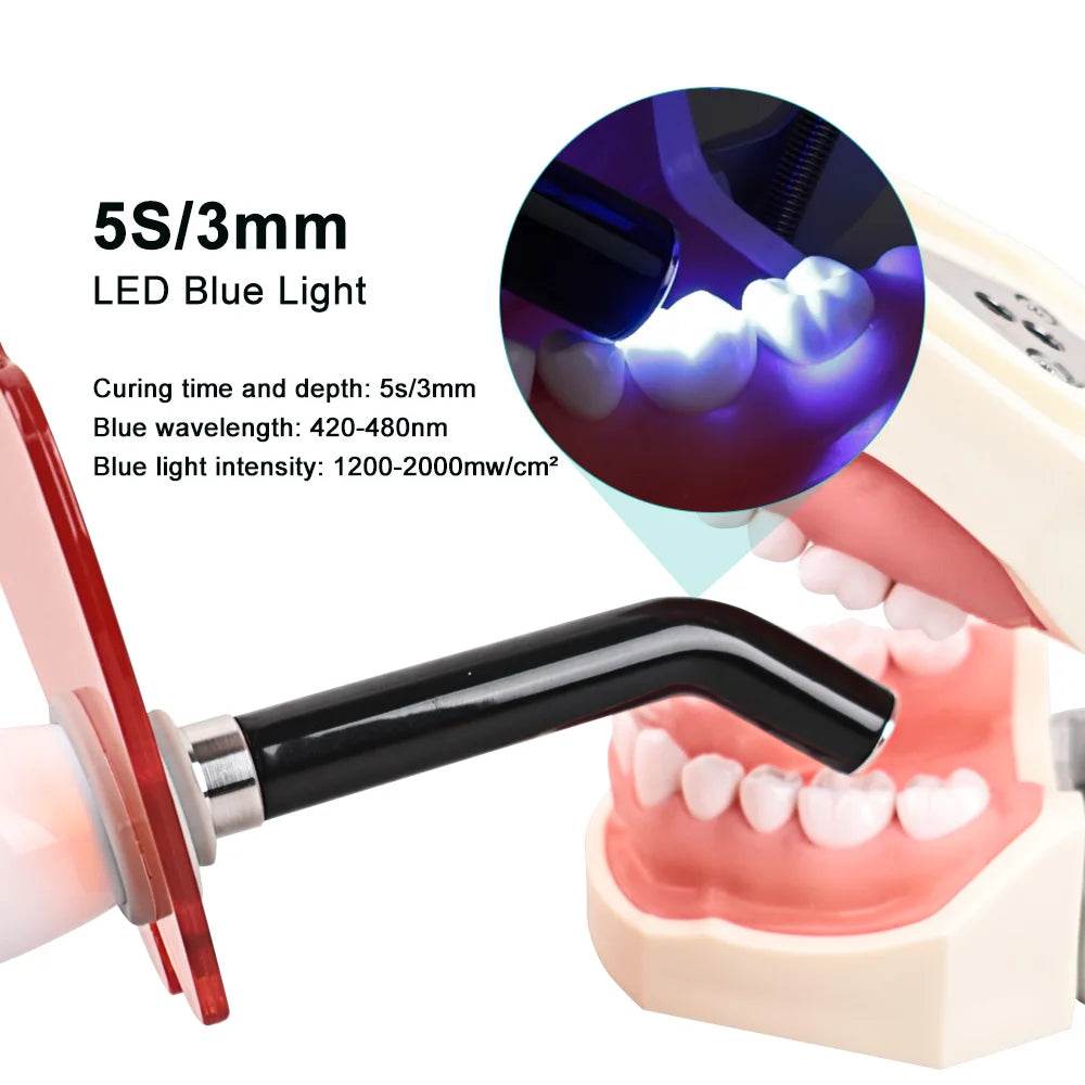 CYH076 Dental Built in Curing Lamp - Denspay Dental - Curing Light