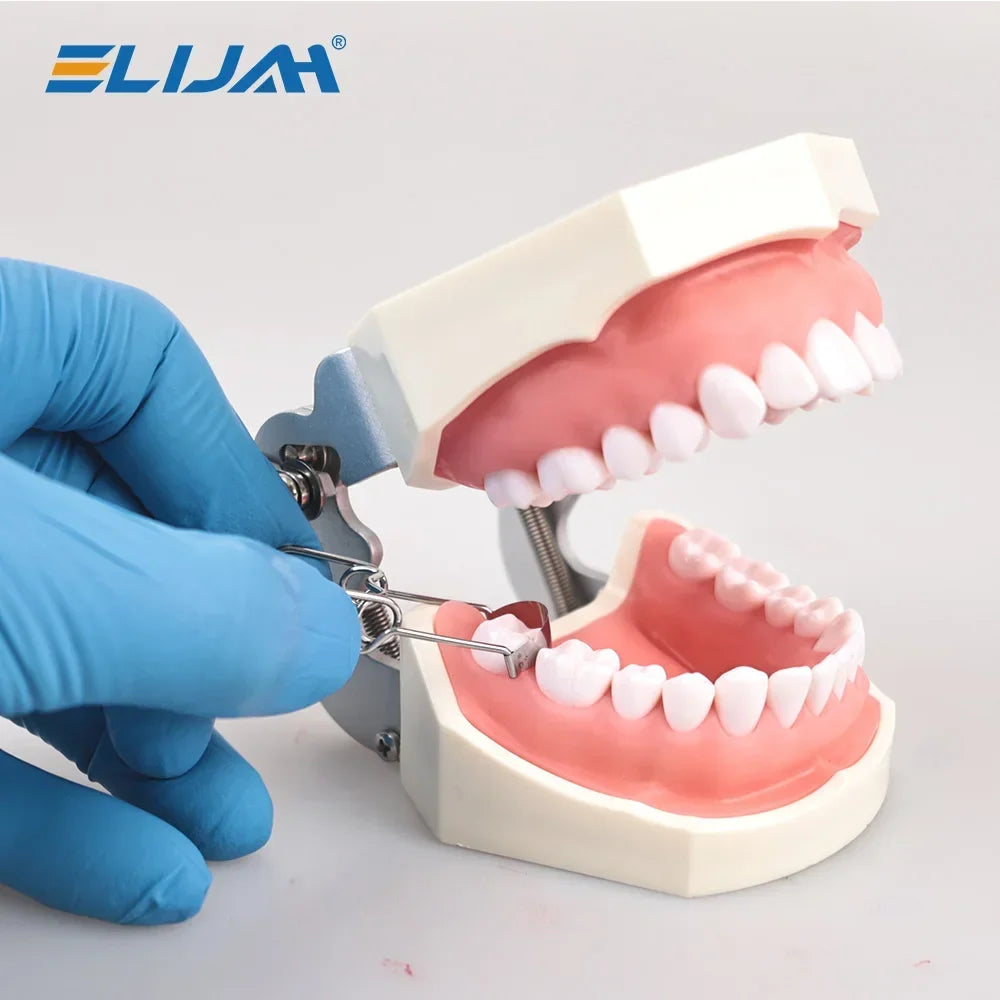 CYW729 Dental Matrix