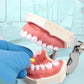 CYF214  Dental Hand Use Root Canal Treatment Pro-Taper Files