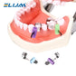 ELIJAH 50Pcs/Box Dental Molding Sheet Sectional