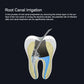 CYB068 Dental LED Ultrasonic Scaler