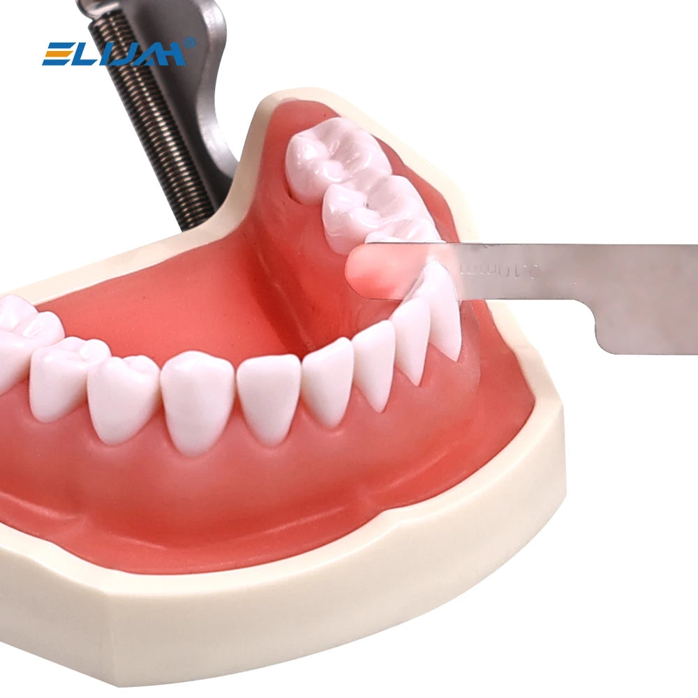 CYW775 Dental Measuring Ruler